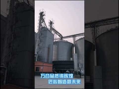 Топления взрыва оборудования засыхания маиса 500T/D машина горячего аграрная более сухая